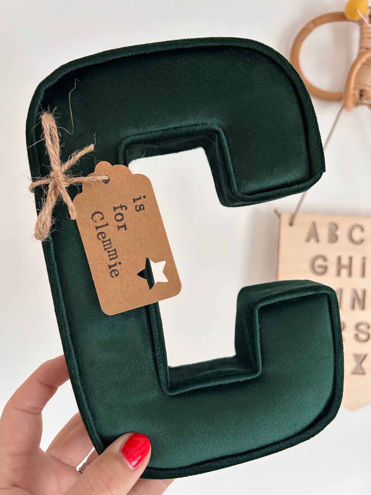 Velvet fabric letter